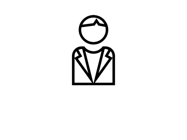 CEO - the overall responsible for the plant including asset  life cycle management