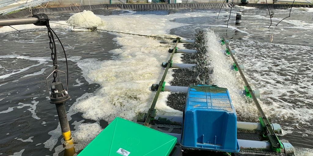 Rendimiento de producto ideal en la cría de gambas con la ayuda de un sistema de monitorización de la calidad del agua online Monitorización fiable de la calidad del agua para garantizar un rendimiento de producto ideal en la cría de gambas en acuicultura