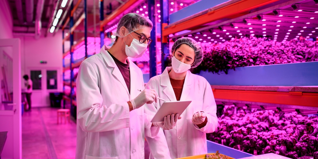 medición del pH en una planta inteligente de agricultura vertical garantiza el máximo rendimiento del producto.