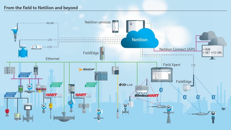 Procedente del campo a Netilion y más allá.