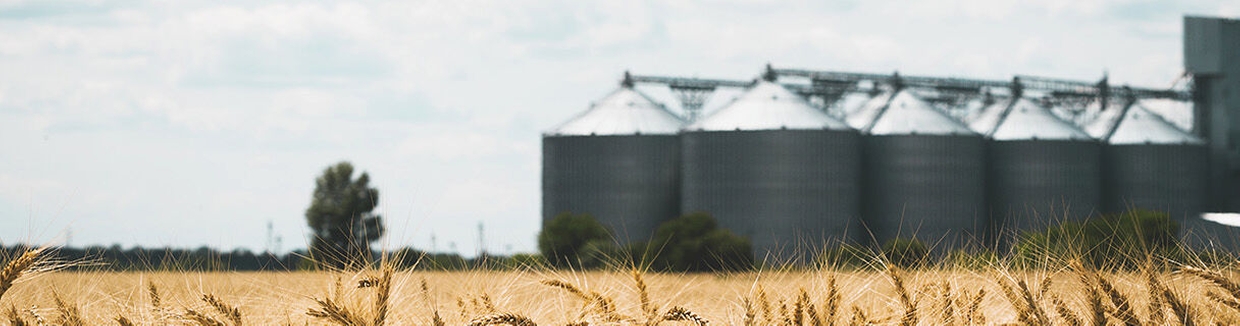 Una planta de agronegocio para el almacenamiento de alimentos en depósitos y silos de almacenamiento a granel