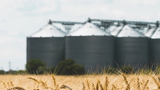 Una planta con múltiples silos para el almacenamiento de alimentos, por ejemplo granos