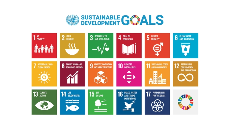 Los 17 Objetivos de Desarrollo Sostenible de las Naciones Unidas
